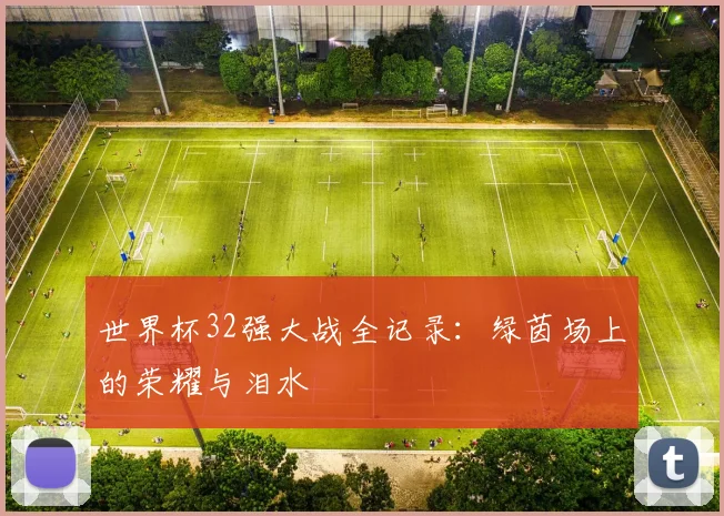 世界杯32强大战全记录：绿茵场上的荣耀与泪水