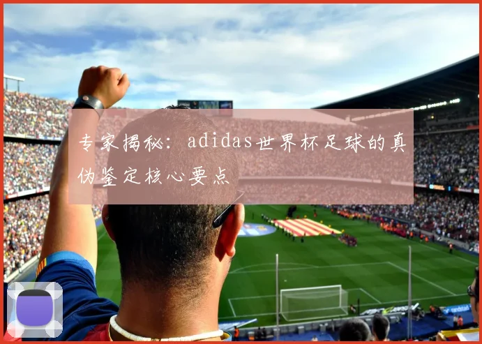 专家揭秘：adidas世界杯足球的真伪鉴定核心要点