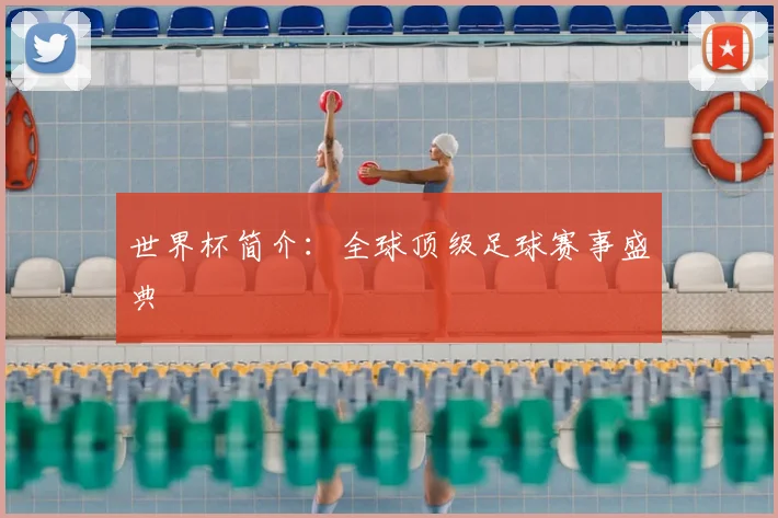 世界杯简介:全球顶级足球赛事盛典
