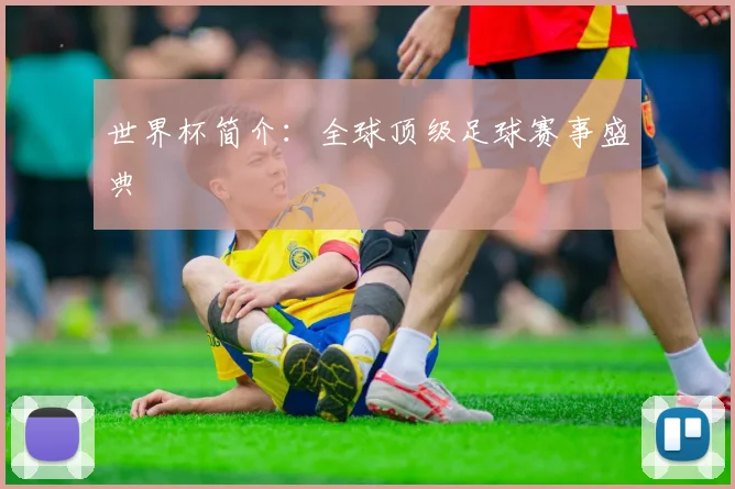 世界杯简介：全球顶级足球赛事盛典